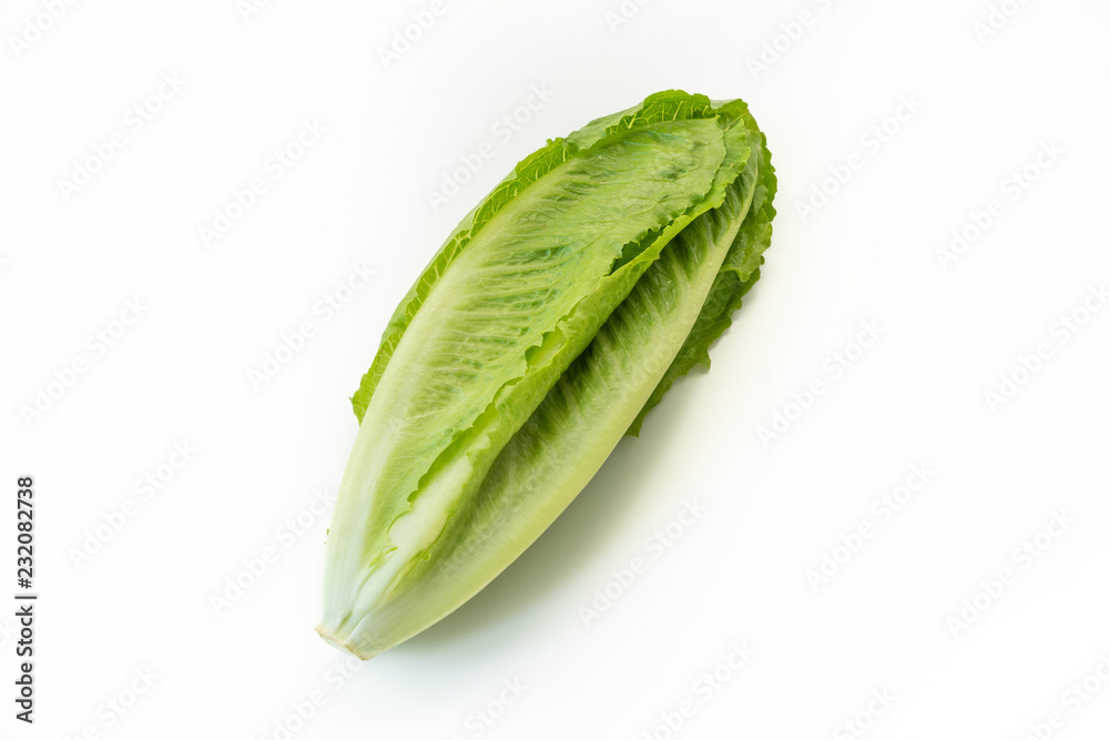 vegetable salad on isolated vegetable salad on isolated