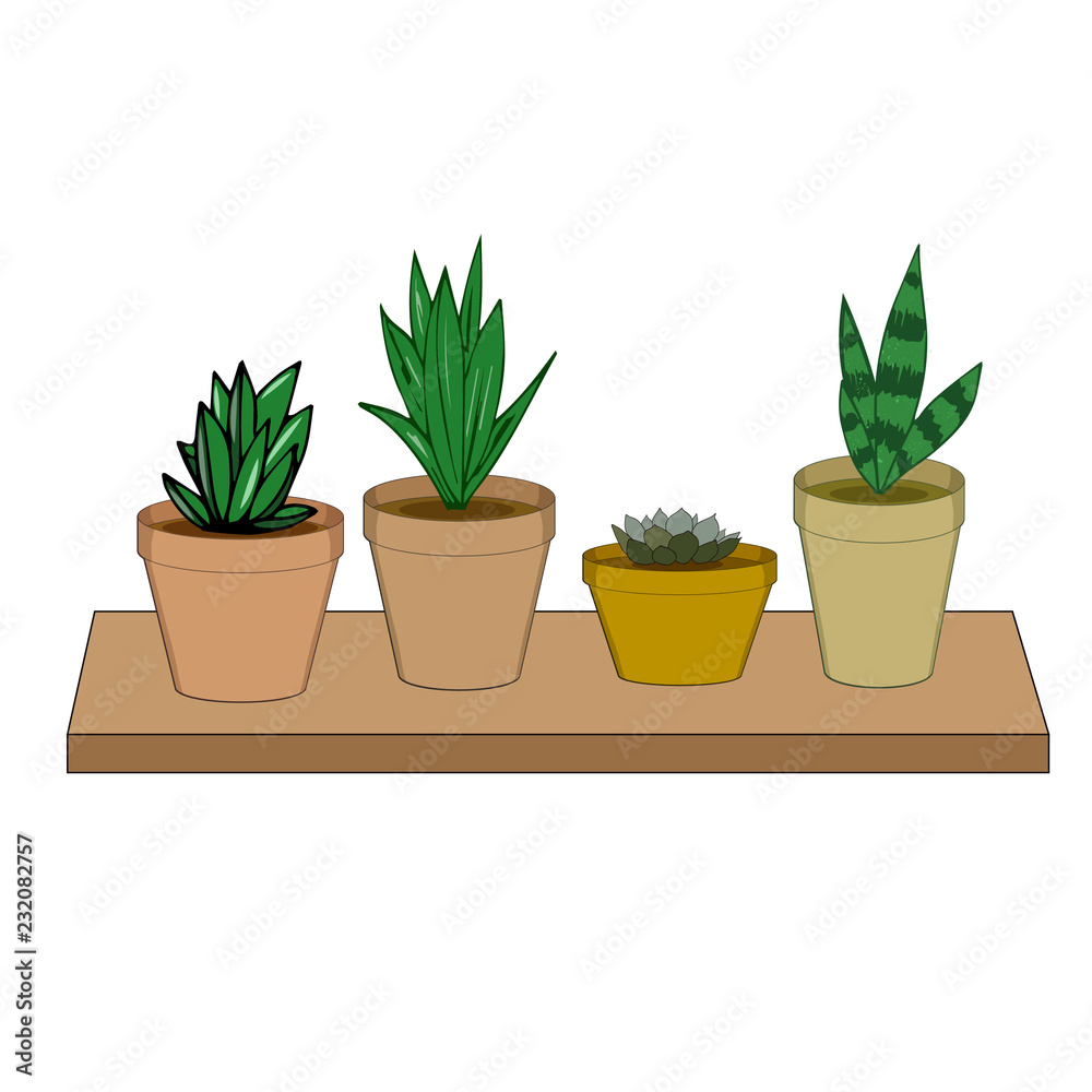 Vector hand draw illustration set of different tipical indoor plants in potsVector hand draw illustration set of different tipical indoor plants in pots Vector hand draw illustration set of different tipical indoor plants in potsVector hand draw illustration set of different tipical indoor plants in pots
