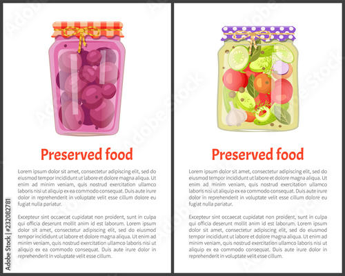 Preserved Food Meal Posters Vector Illustration