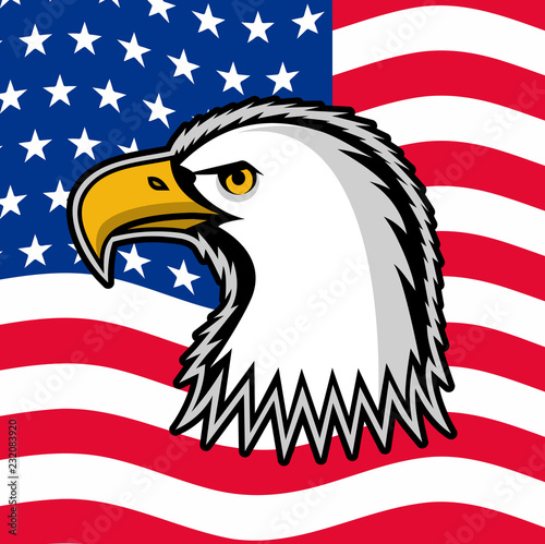Bald eagle symbol of north america.