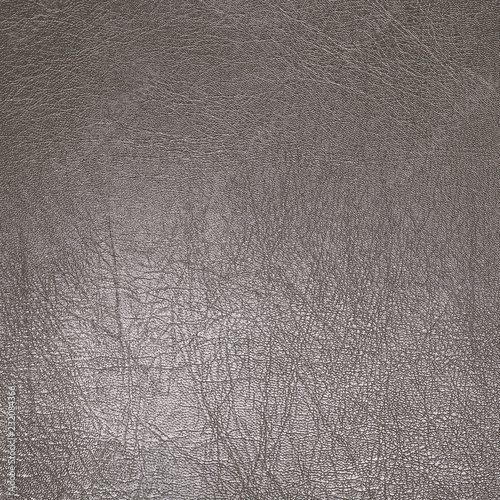 Billede på lærred Gray grungy texture background. Skin pattern with a silver tinge