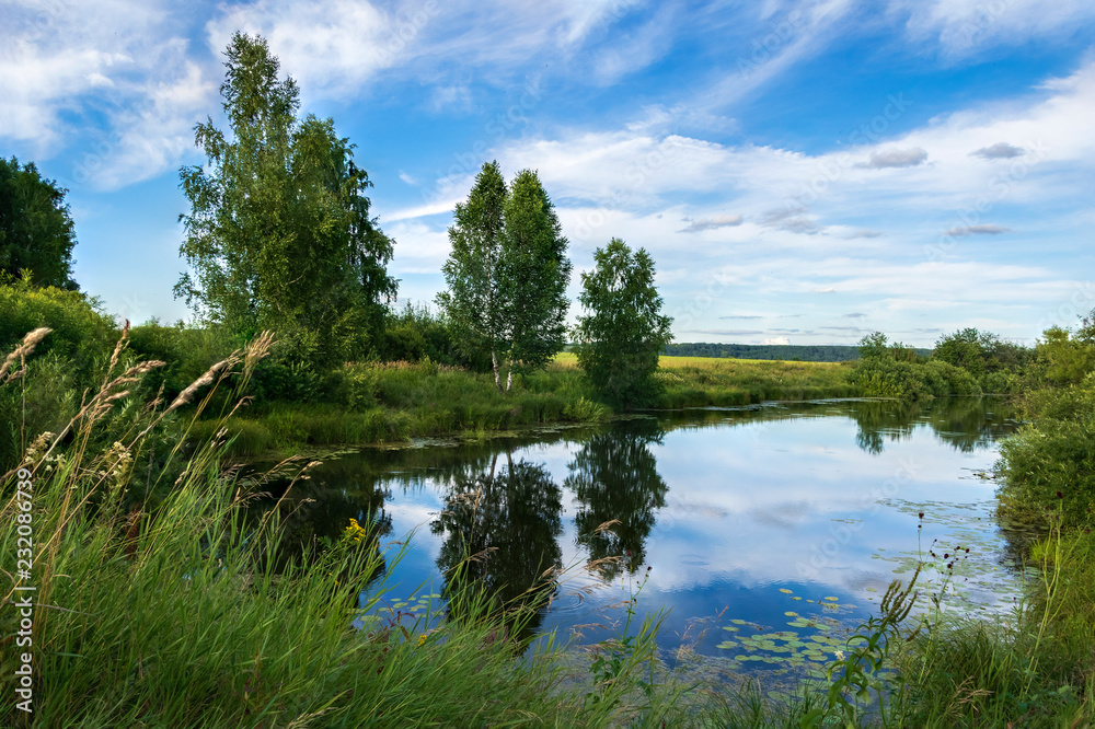 Fototapeta premium reflection in the surface of the lake