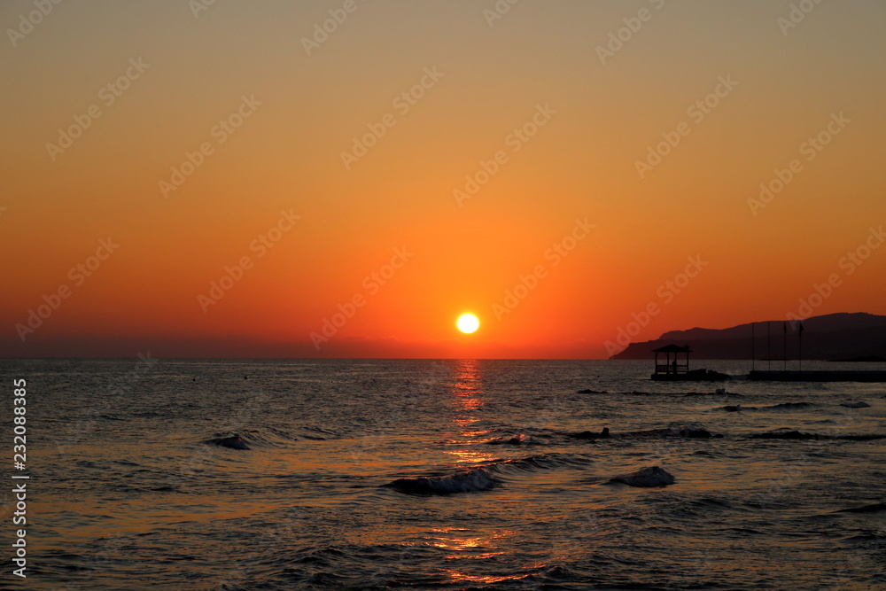 Sunset sea plant sand sunrise