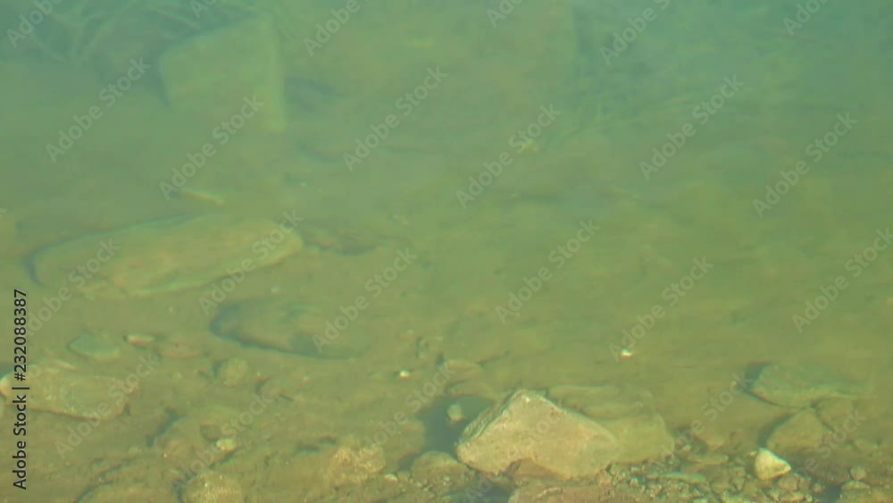 Clear mirror mountain lake with boulders under surface in a sunny autumn day. Zoom to boulders
Clear mirror mountain lake with boulders under surface in a sunny autumn day. Zoom to boulders