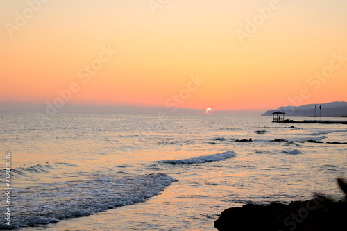 Sunset sea plant sand sunrise