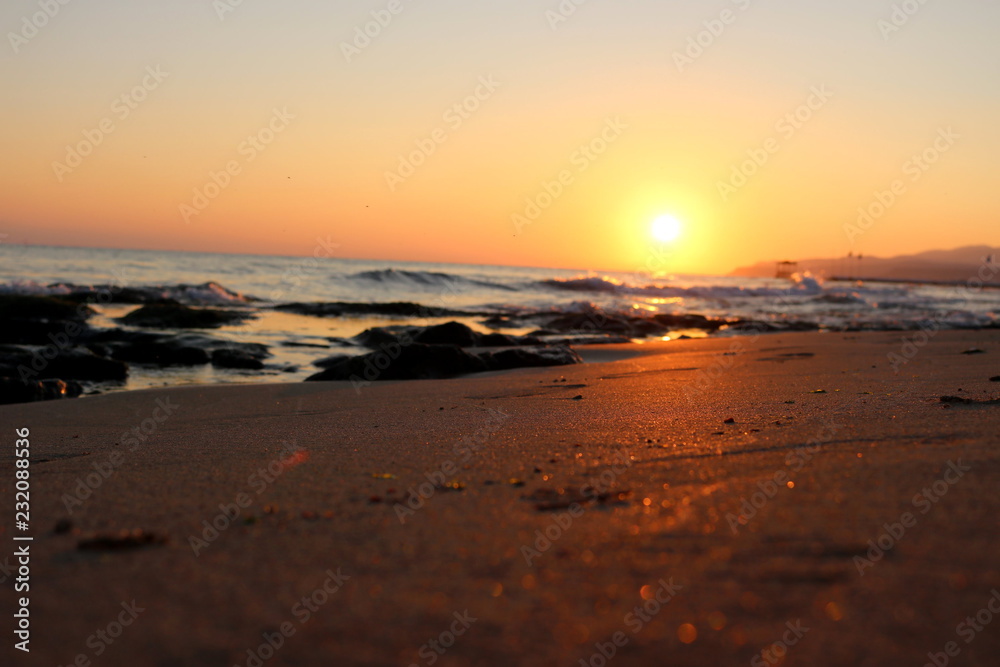 Sunset sea plant sand sunrise