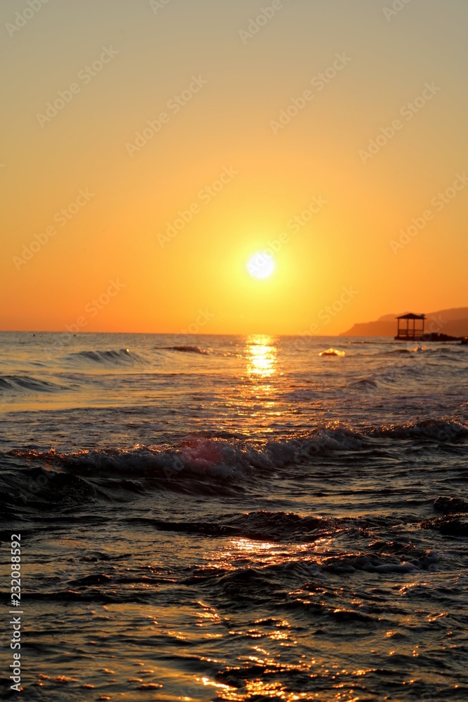 Sunset sea plant sand sunrise