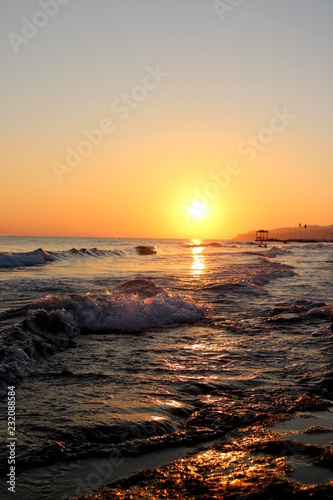 Sunset sea plant sand sunrise