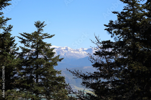 Fir and pine trees on the Pe  a Oroel mount  with the snow-clad Pyrenees as background  a wide valley with blue sky and some bushes  in Aragon  Spain