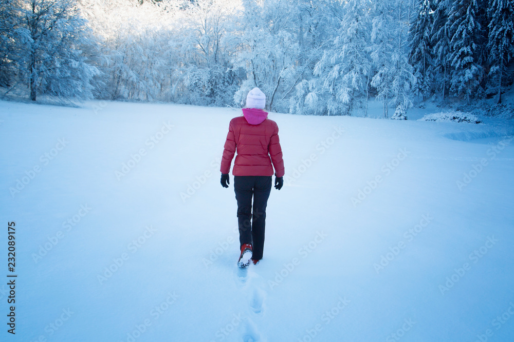 Woman in red jacket walking alone in the snowy countryside meadow with trees at sunny morning day.