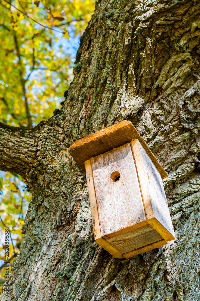 Traditional birdhouse hanging on the deciduous tree in the forest