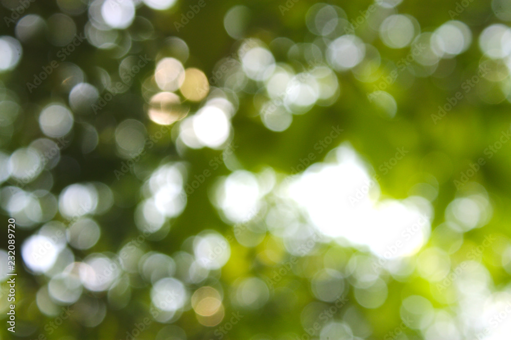abstract green background