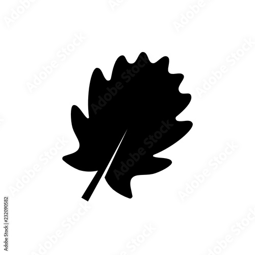 pinnatifid oak leaf glyph icon