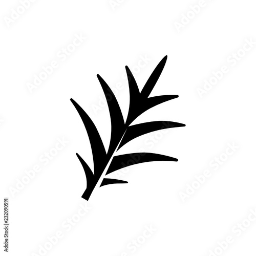 pinnatisect fern leaf glyph icon photo