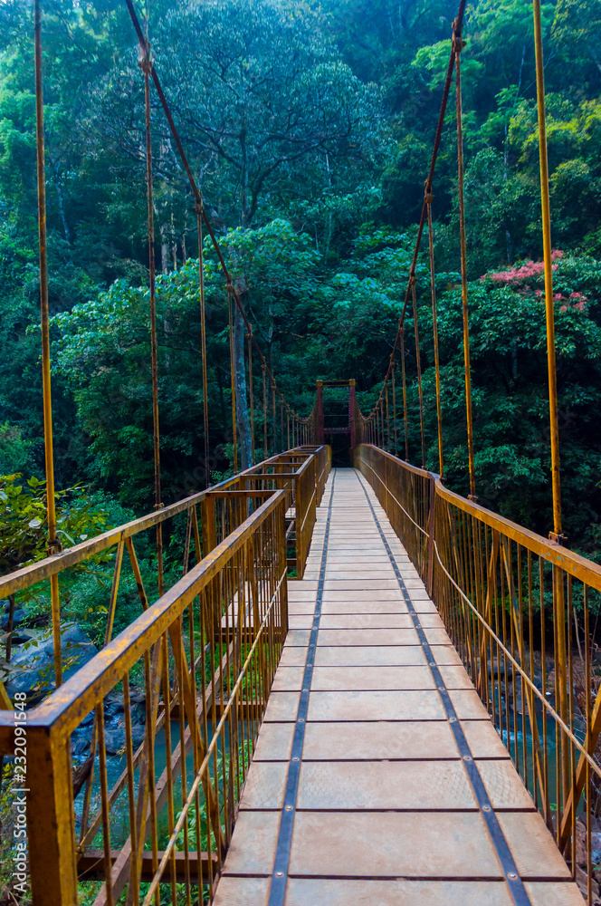 Hanging bridge above the Cauvery River in Western Ghats jungles Hanging bridge above the Cauvery River in Western Ghats jungles
