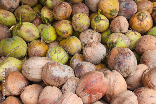 Coconut is prepared for coconut milk.
