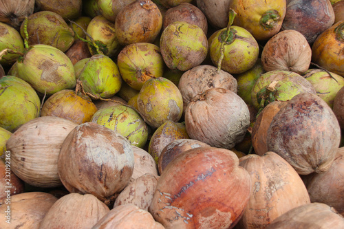 Coconut is prepared for coconut milk.