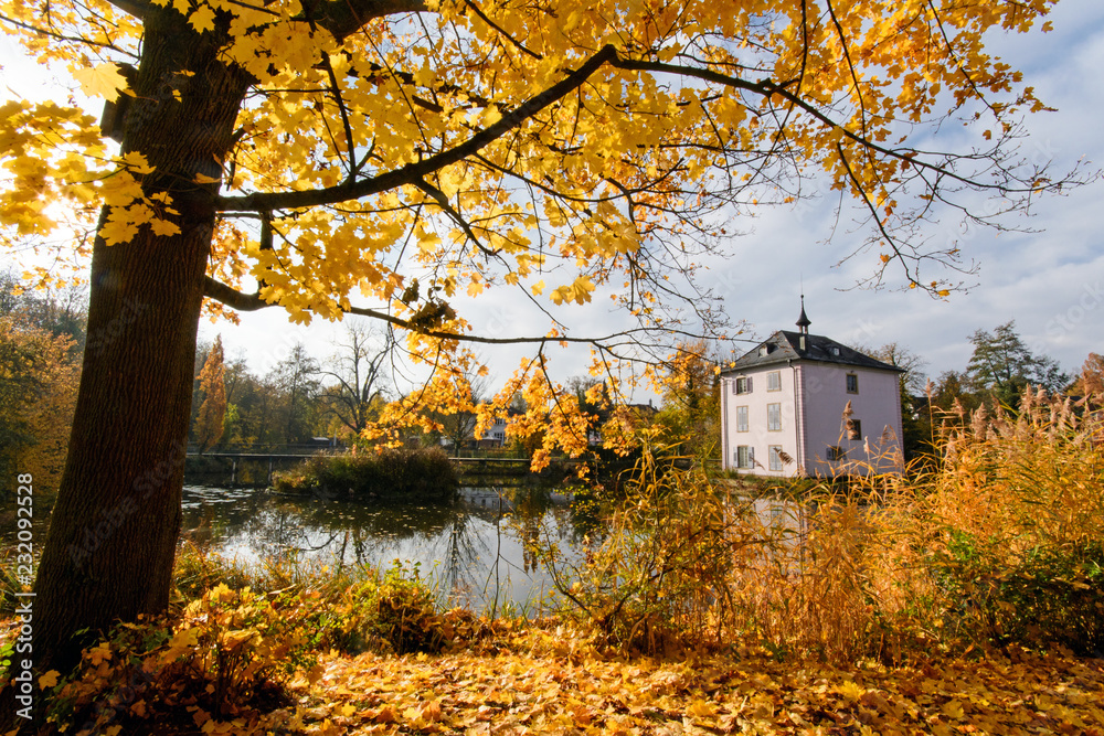 Traum vom Haus am See: Indian Summer, Schönheit des Herbstes am See, Spätsommer, Indian Summer, wundervolle Farben im Wald, weiches, stimmungsvolles Licht :) Traum vom Haus am See: Indian Summer, Schönheit des Herbstes am See, Spätsommer, Indian Summer, wundervolle Farben im Wald, weiches, stimmungsvolles Licht :)