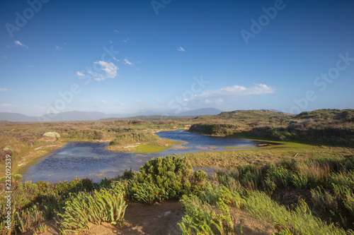 Small lake on Cotters beach track located just behind the actual beach is a haven for wildlife in Wilsons Promontory national park, Victoria, Australia photo