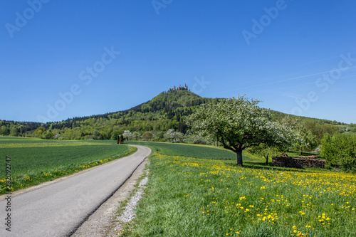 Hohenzollern Castle, Germany	 photo