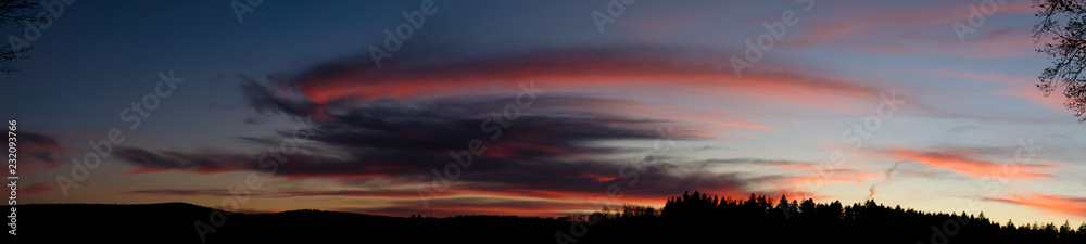 Fototapeta premium Sunset in the Forest