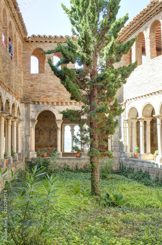 The cloister with romanesque arches, a fir tree and medieval frescos during a sunny day in the Colegiata de Santa Maria la Mayor of Alquezar, Spain