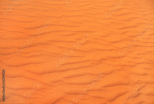 Texture of sand dune in desert