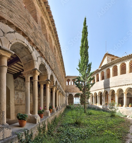 The cloister with romanesque arches  a fir tree and medieval frescos during a sunny day in the Colegiata de Santa Maria la Mayor of Alquezar  Spain