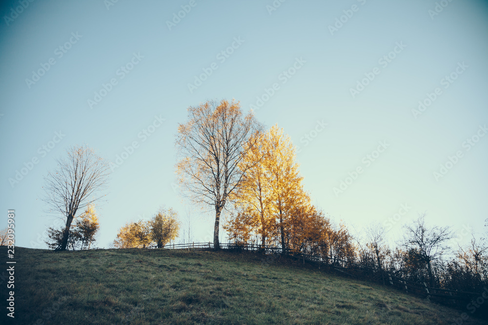 Fototapeta premium Beautiful mountain pasture in Vorokhta under blue sky, Carpathians, Ukraine