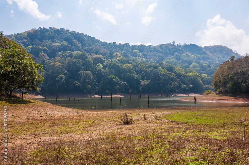 Scenic landscapes and waterscapes of Periyar National Park, Kerala, India.