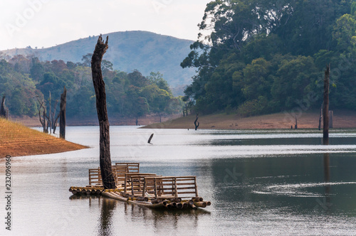 Scenic waterscape with bamboo raft in Periyar National Park, India.