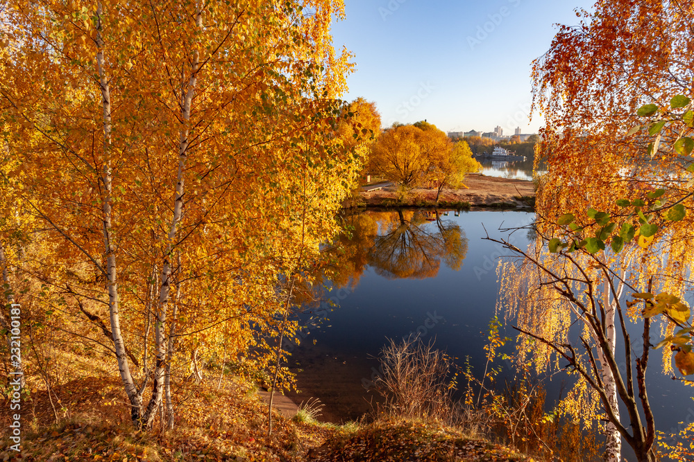 autumn in the park