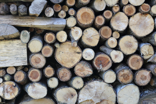 A batch of piled yellow and brown round firewood cut in regular logs and stored in woodshed