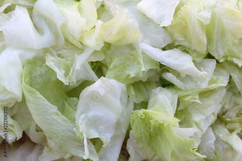 A close view of a wet bunch of some minced green and white lettuce leaves