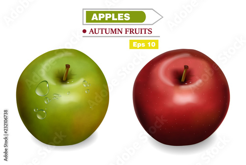 Realistic background Vector. Red and green fruits banners