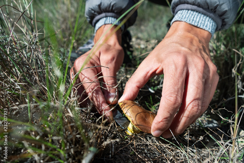 Photography man picking a yellow knight mushroom