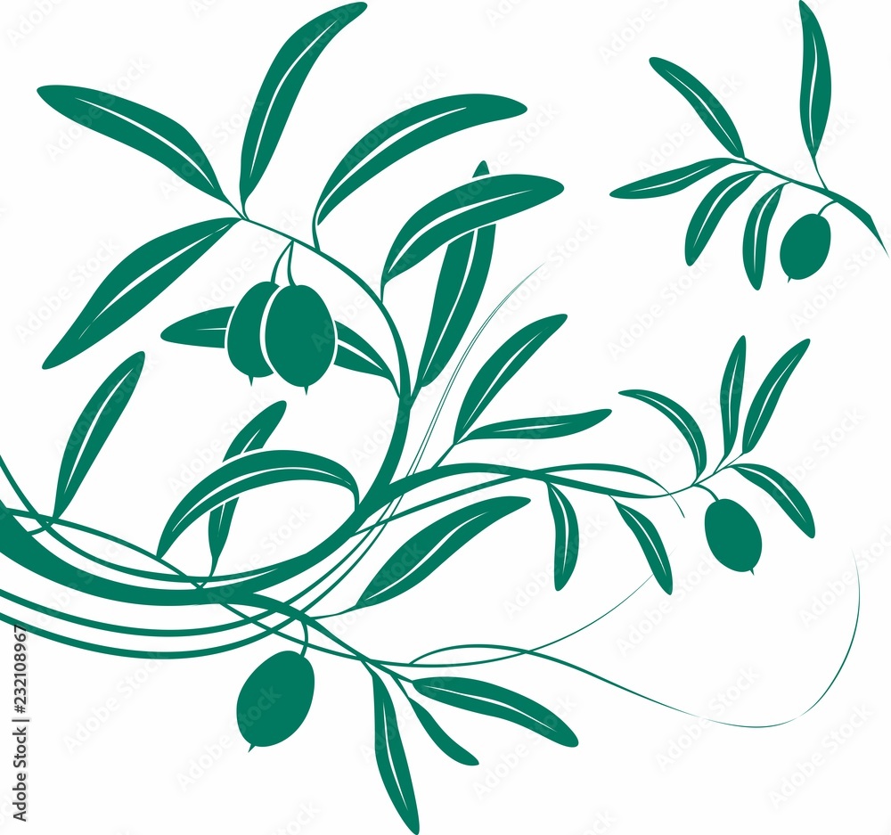 Olivo