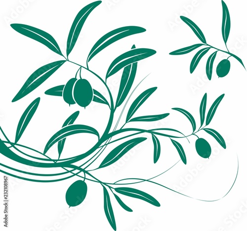 Olivo