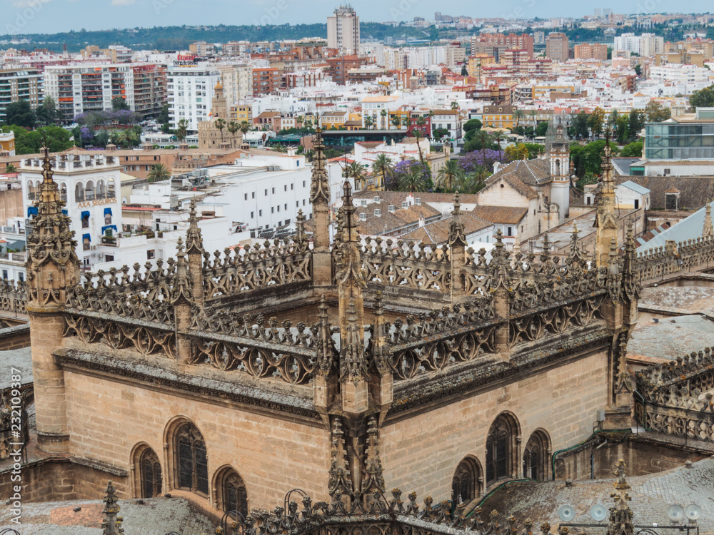 Seville cathedral tower from above