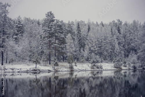 Winter landscape: snow-covered forest on the lake, the reflection of snow trees in the water.