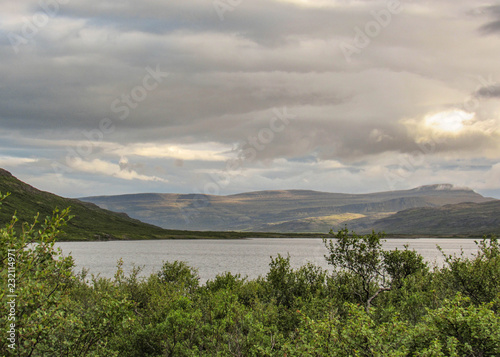 Green forest next to wide lake and mountains on the background. Westfjords of Iceland, Europe