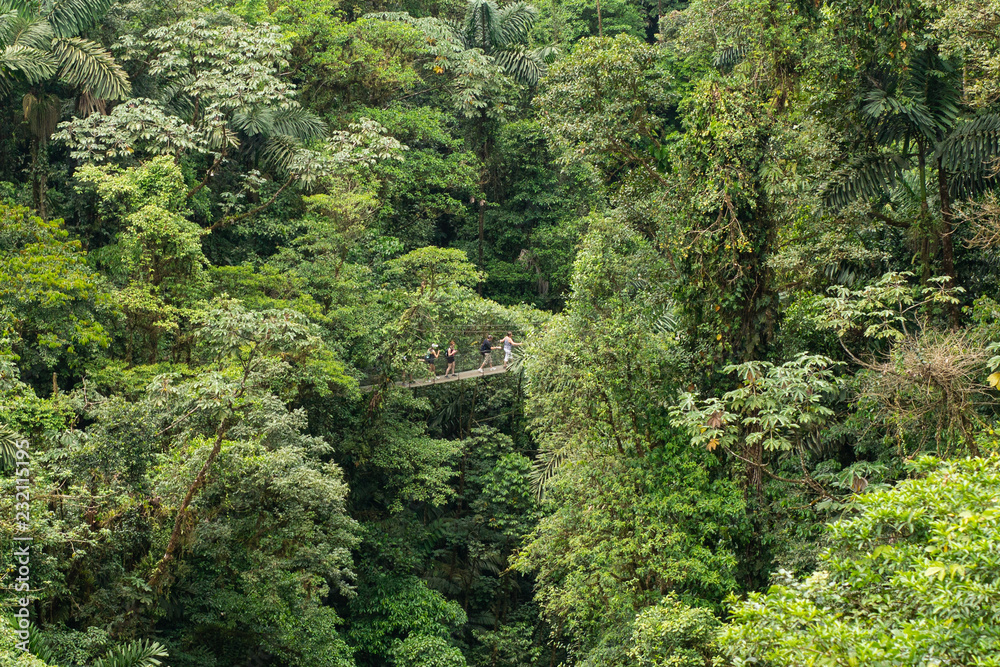 Costa-Rica - Ponts suspendus