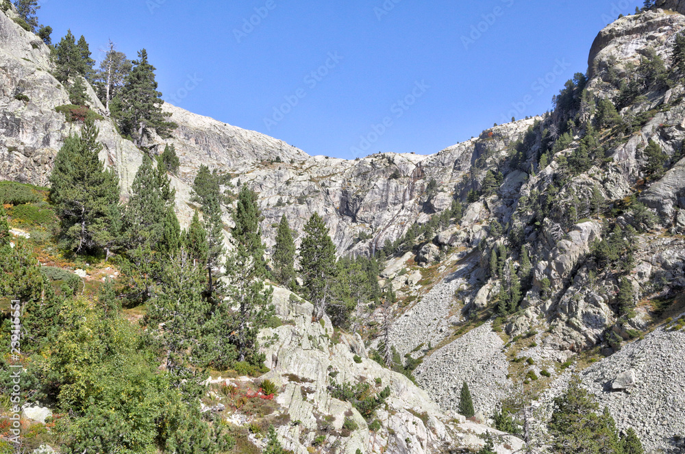 Fototapeta premium A landscape of the high rocky mountains with firs and pine trees forest and a blue sky in a sunny autumn, in Panticosa, Aragon Pyrenees, Spain