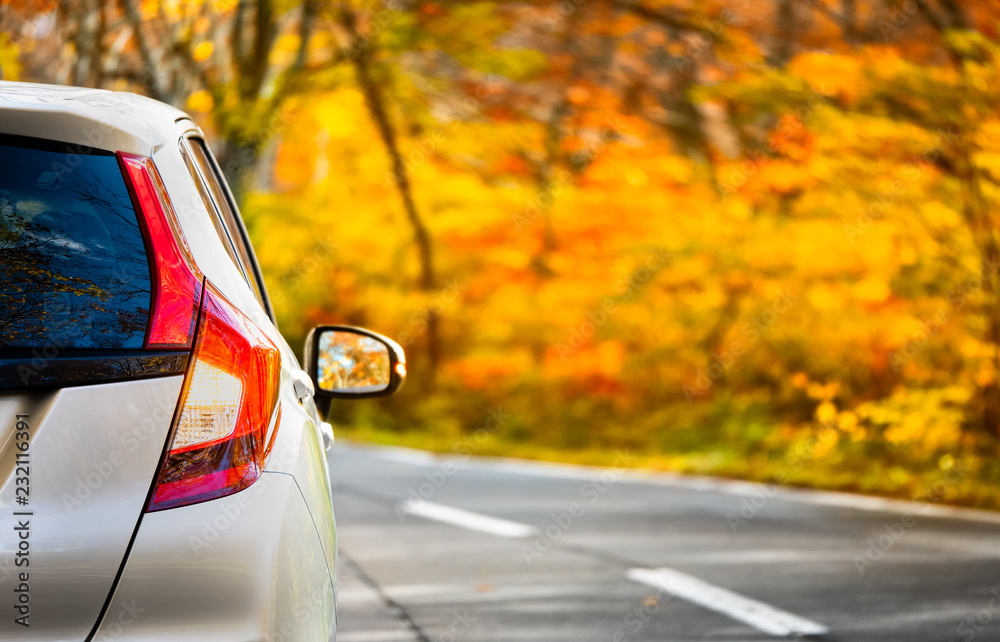 custom made wallpaper toronto digitalClose Up Tail lamp of The car on the road or gold line in the forest during the autumn season with blur forest and Leaves change color background in travel and transportation concept.