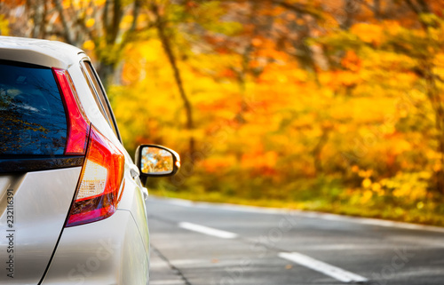 Close Up Tail lamp of The car on the road or gold line in the forest during the autumn season with blur forest and Leaves change color background in travel and transportation concept.