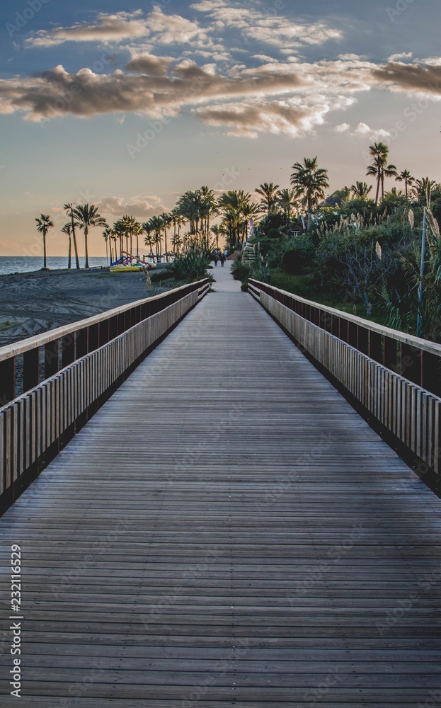 Fototapeta premium Walking through the wooden bridge between exotic scenery of palm trees at sunset