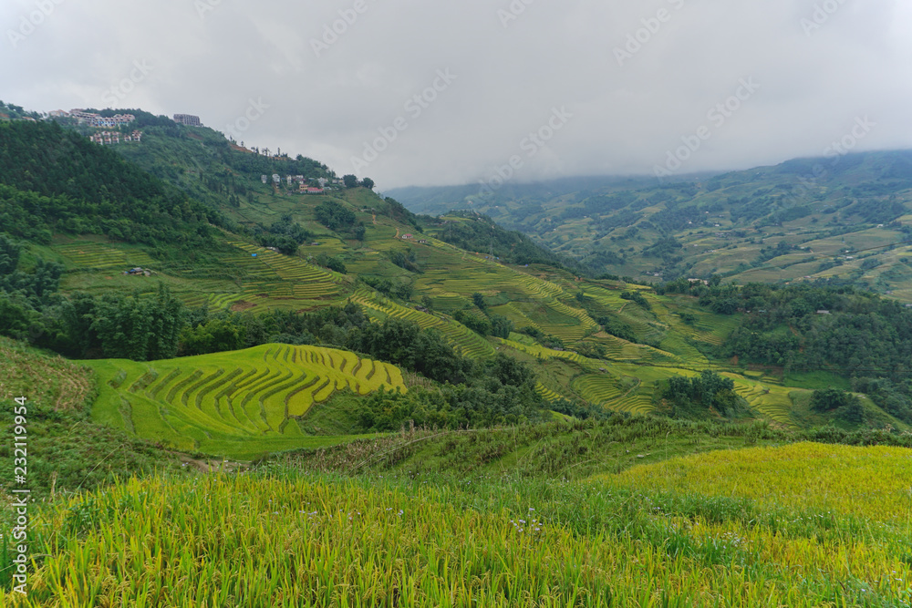 terraced rice paddy in hilly Sapa district, north-west Vietnam