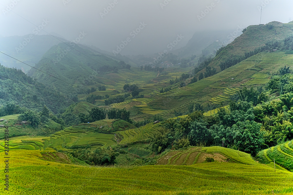 terraced rice paddy in hilly Sapa district, north-west Vietnam