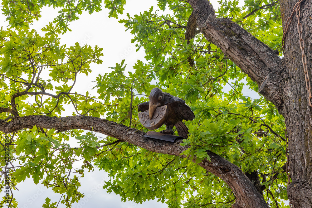 Obraz premium Crow sitting on a tree branch