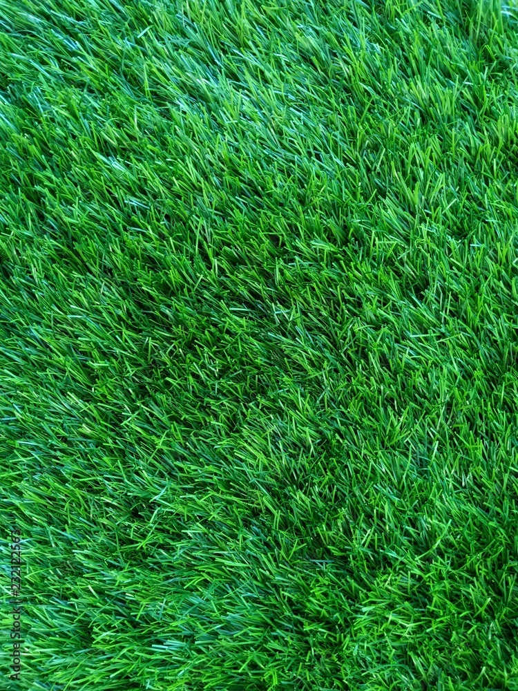 texture of green grass texture of green grass